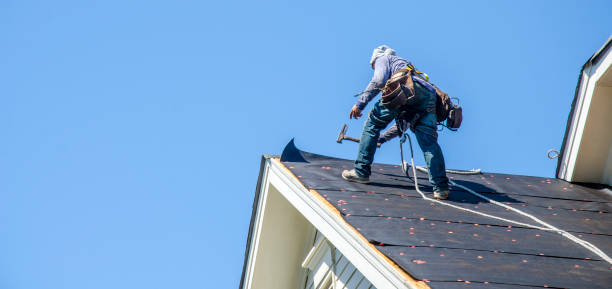 Roof Gutter Cleaning in Tallahassee, FL
